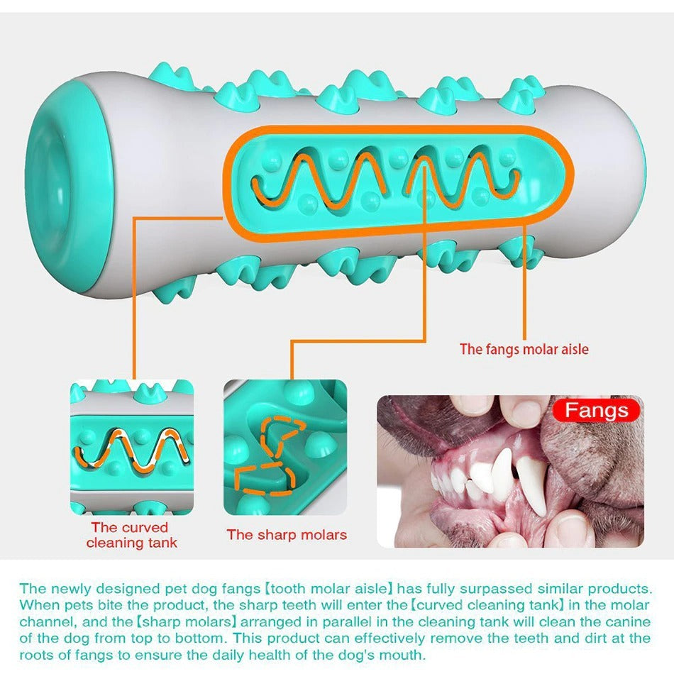 Durable Dog Chew Toy – Toothbrush Stick for Dental Care, Training & Play