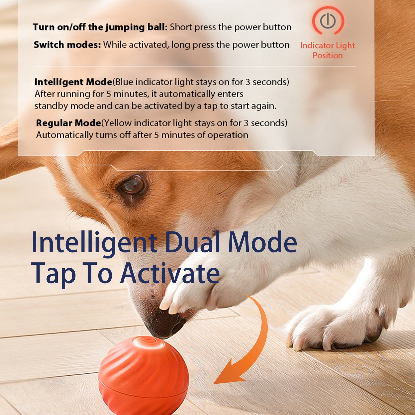 Interactive Bouncing Ball for Dogs – Automatic Rechargeable Smart Toy