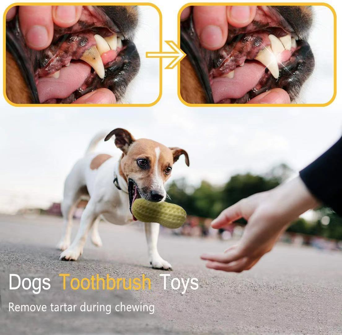 Funny Peanut Dog Squeaky Toy – Durable Rubber Chew & Dental Care for Dogs