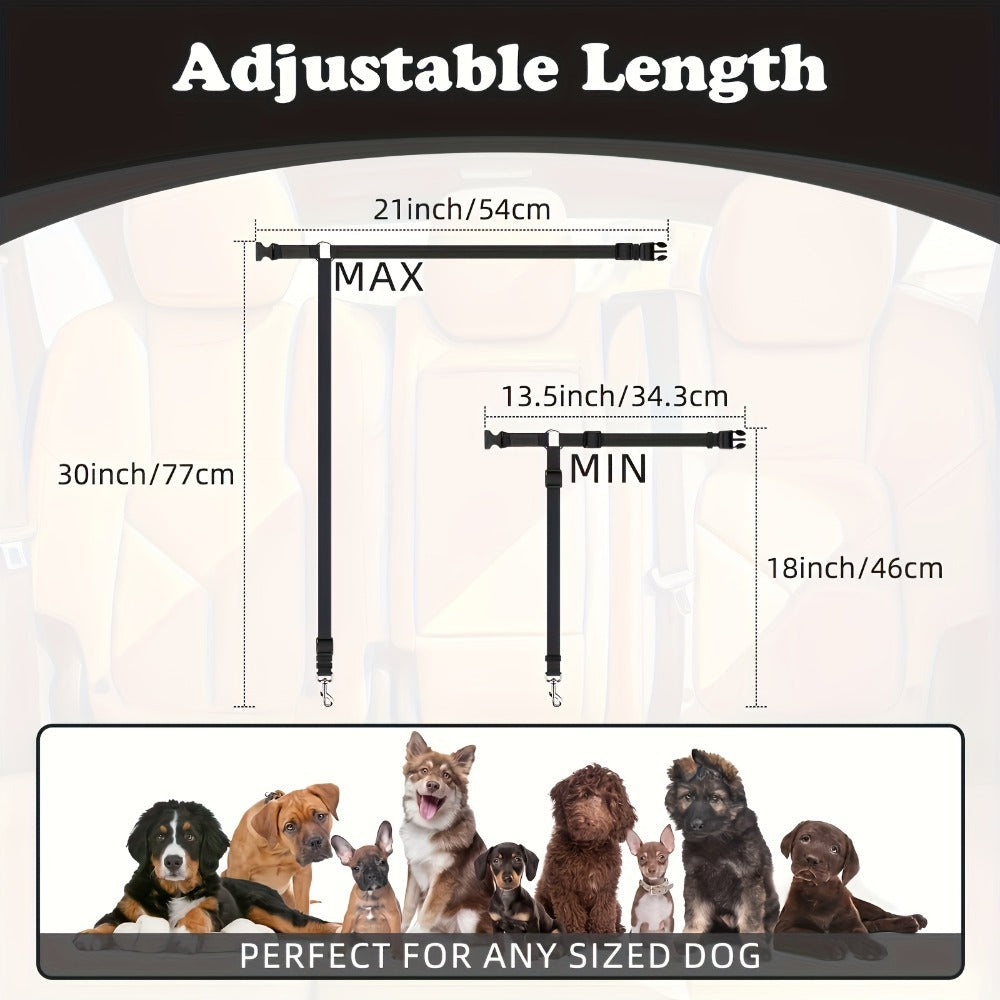 2-Piece Dog Leash Set – Durable & Comfortable for Daily Walks