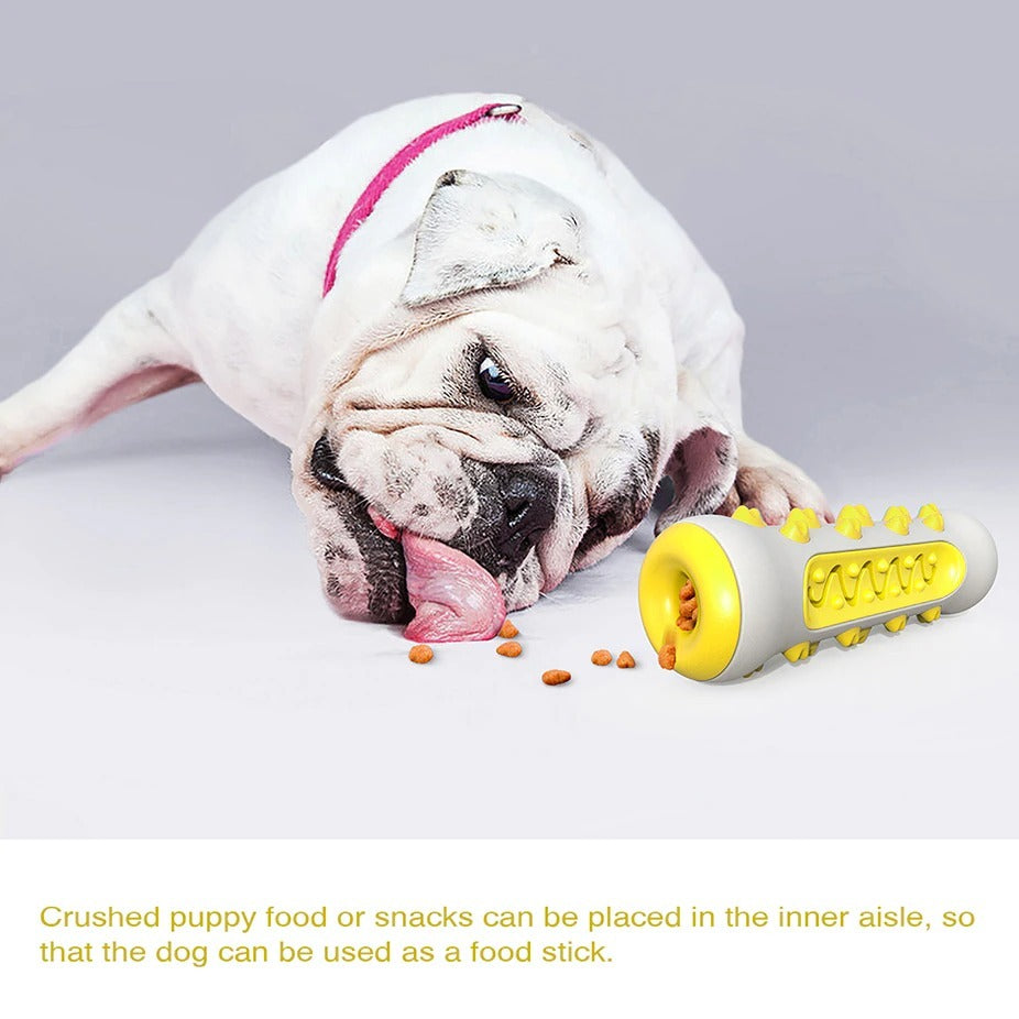 Durable Dog Chew Toy – Toothbrush Stick for Dental Care, Training & Play