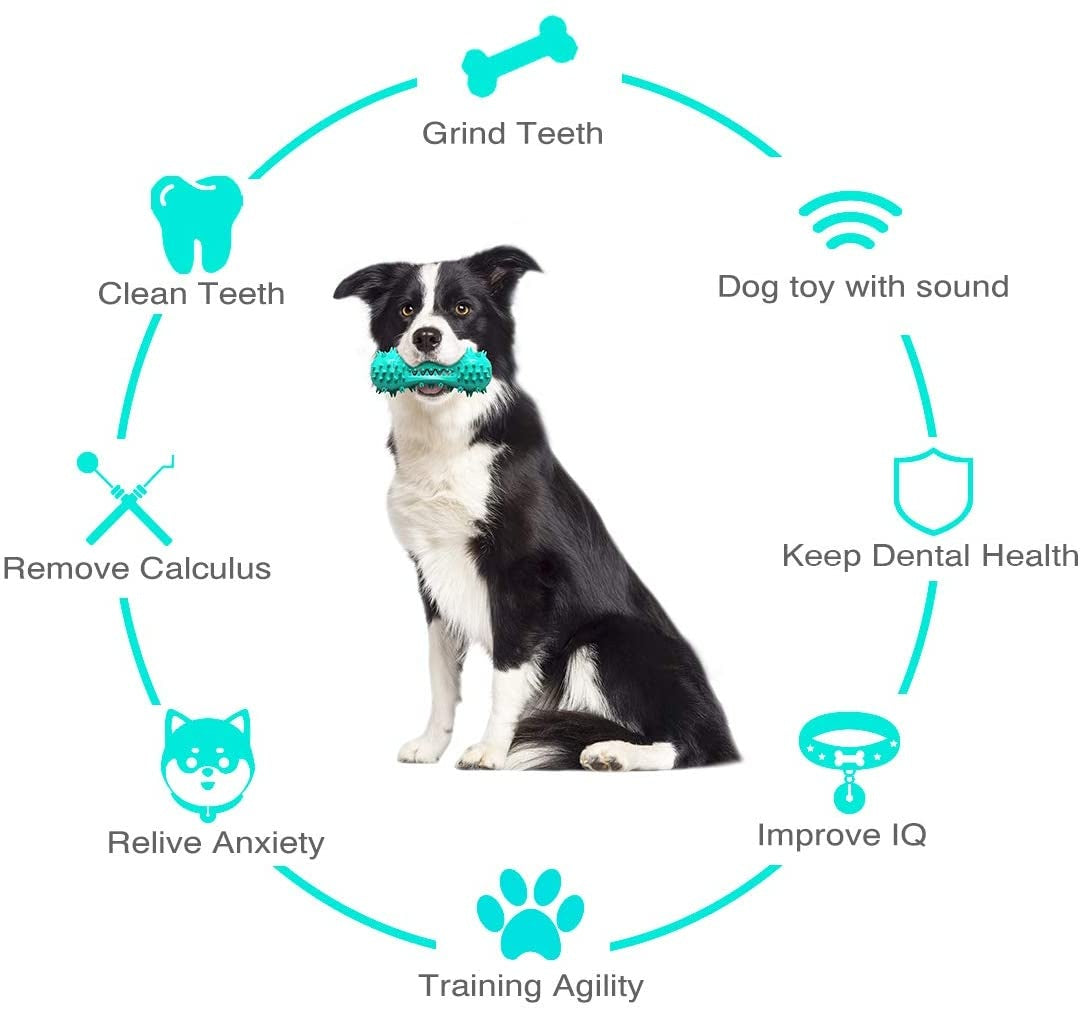 Durable Dog Chew Toy – Teeth Cleaning & Dental Care