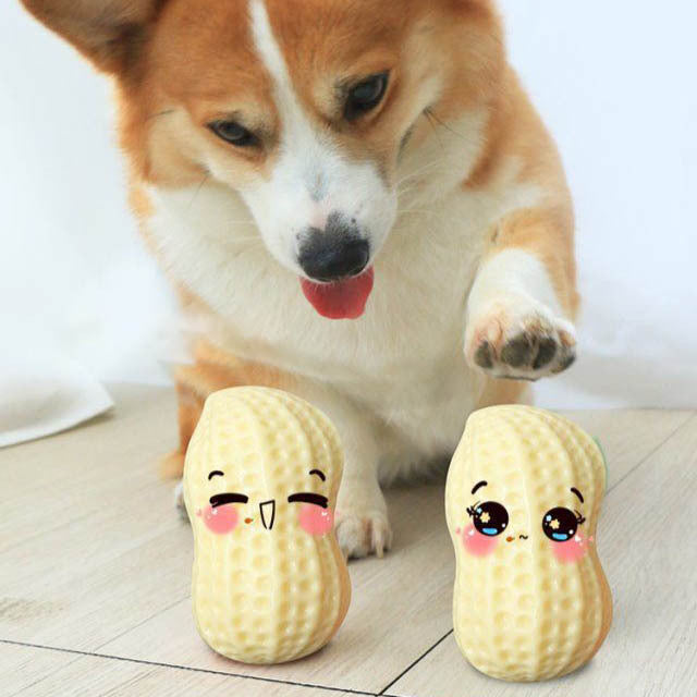 Funny Peanut Dog Squeaky Toy – Durable Rubber Chew & Dental Care for Dogs