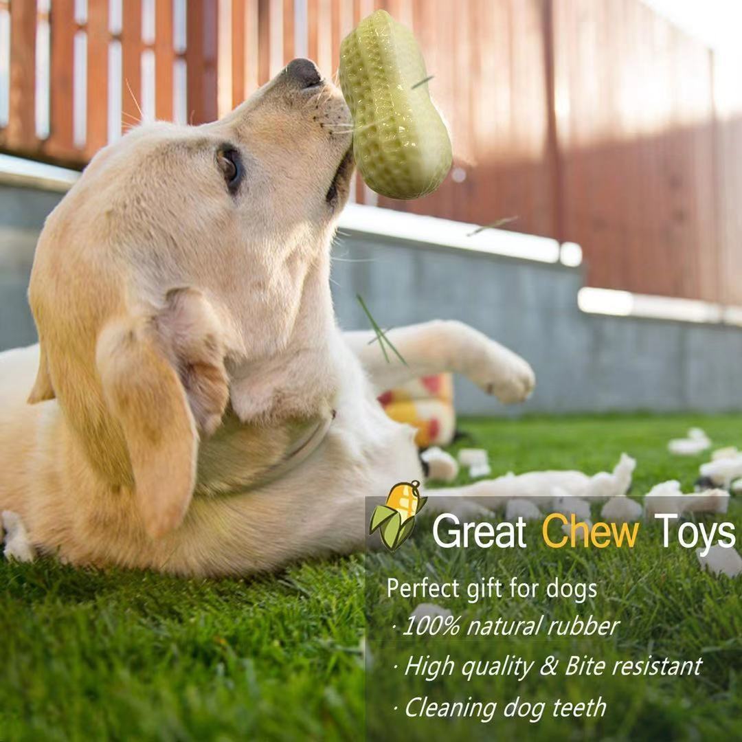 Funny Peanut Dog Squeaky Toy – Durable Rubber Chew & Dental Care for Dogs