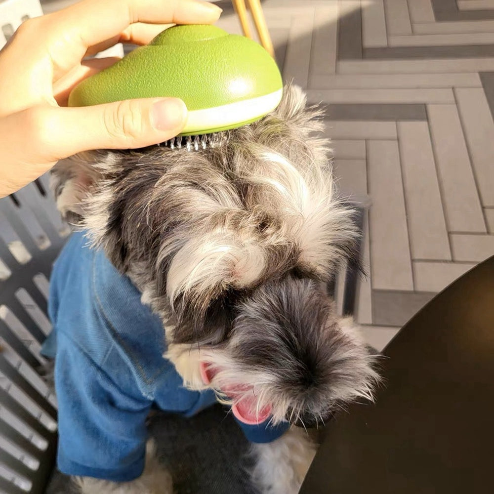 Self-Cleaning Cat & Dog Grooming Brush – Gentle Deshedding Comb with One-Button Hair Removal