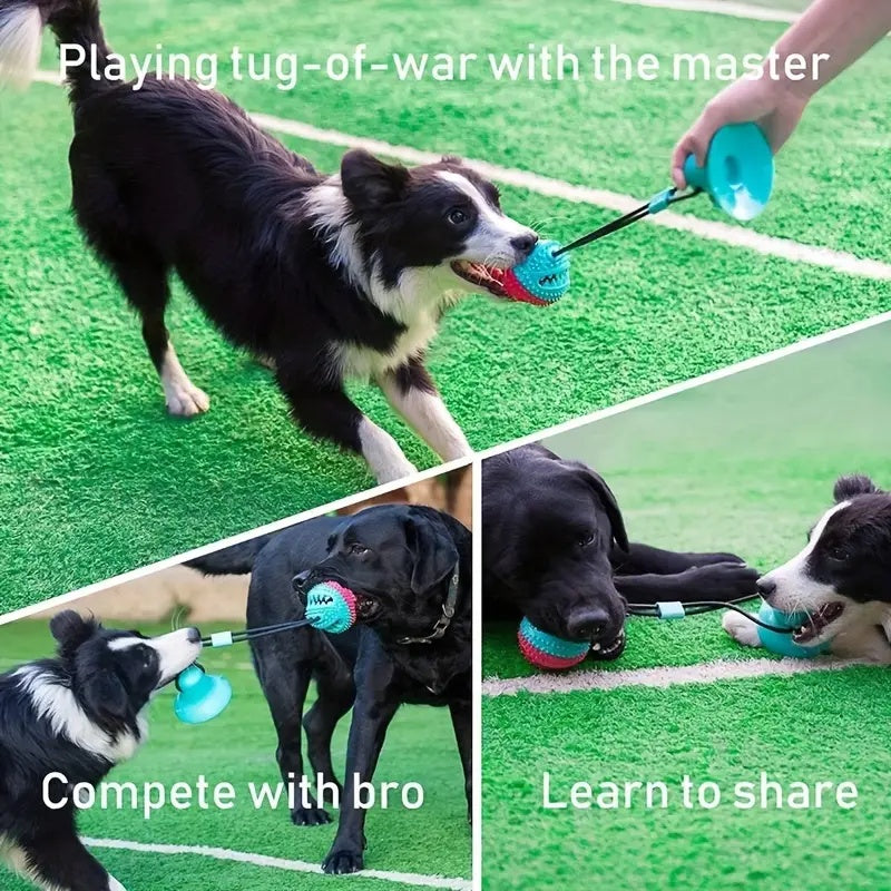 Tug-of-War Dog Chew Toy