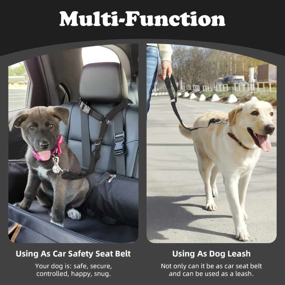 2-Piece Dog Leash Set – Durable & Comfortable for Daily Walks