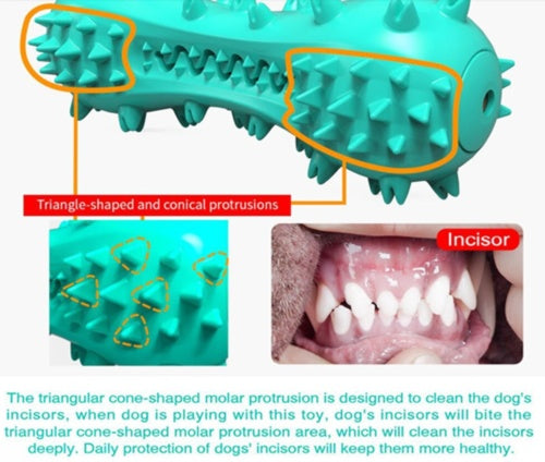 Durable Dog Chew Toy – Teeth Cleaning & Dental Care