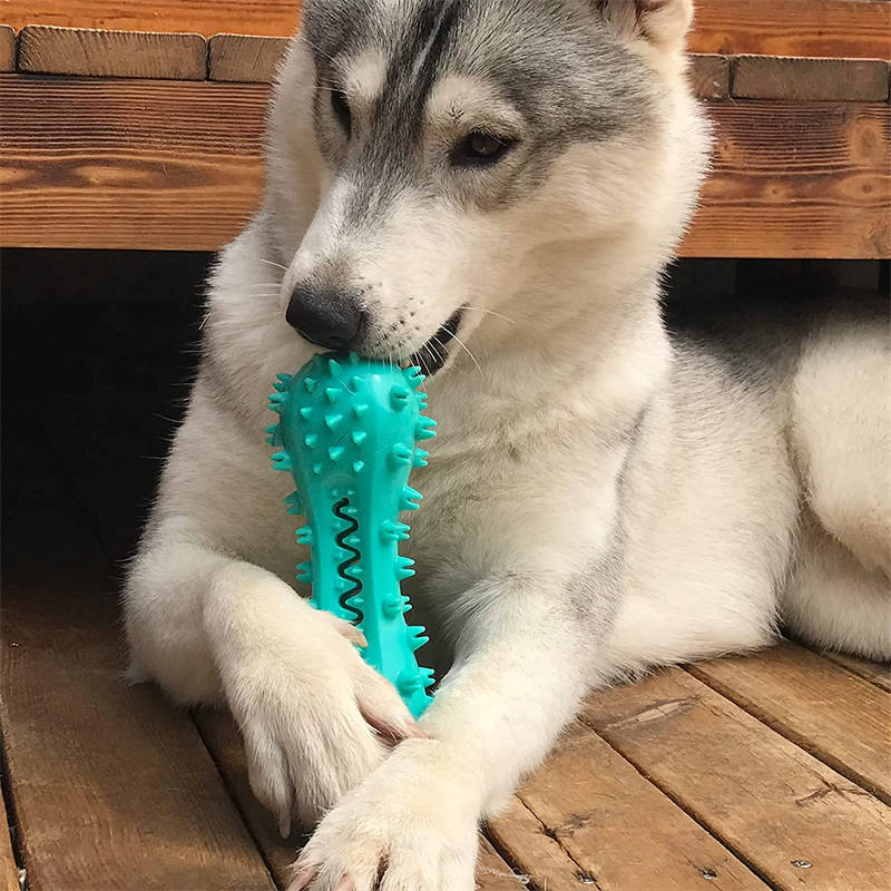 Durable Dog Chew Toy – Teeth Cleaning & Dental Care
