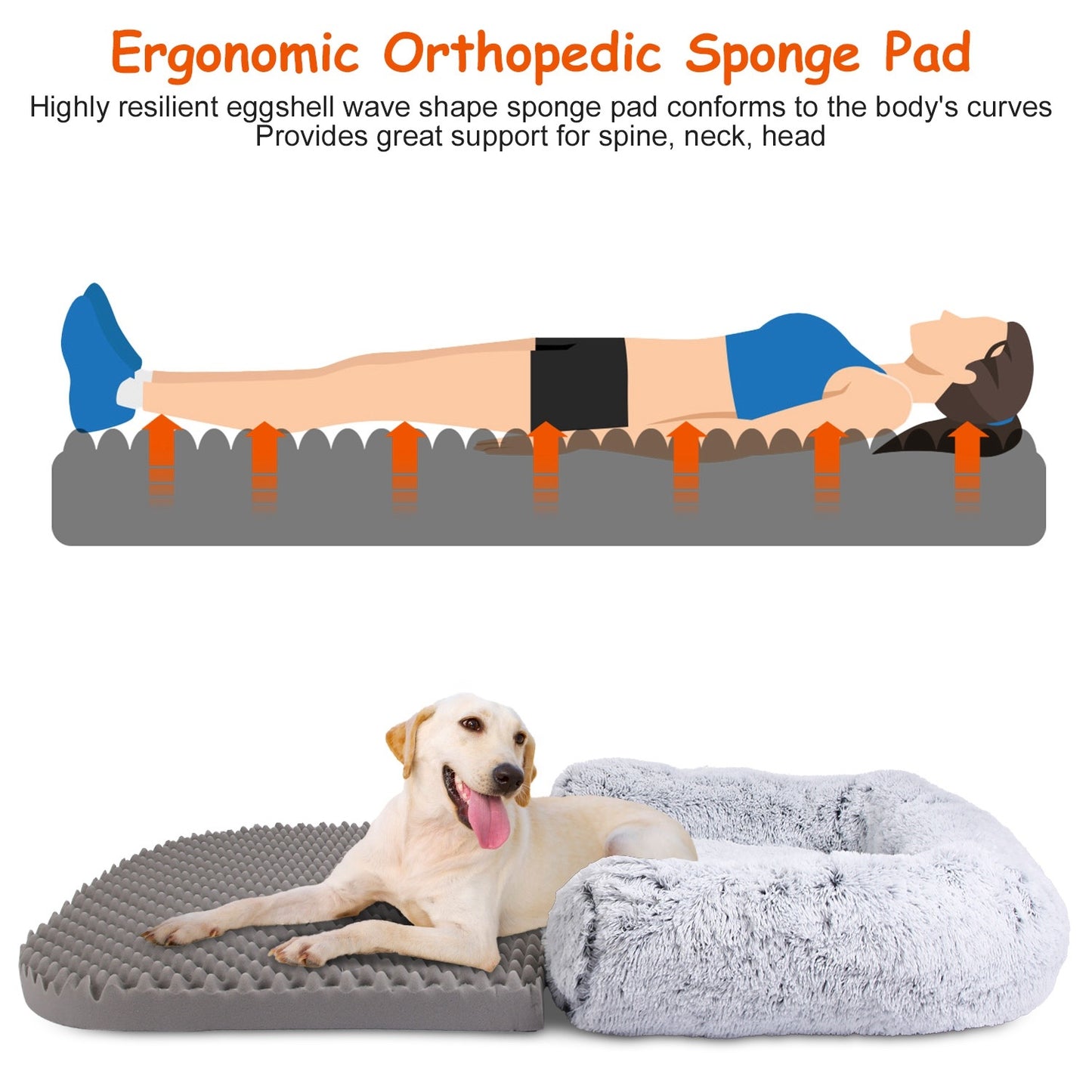 Large Foldable Human-Size Dog Bed with Pillow & Blanket – Washable Plush Napping Bed