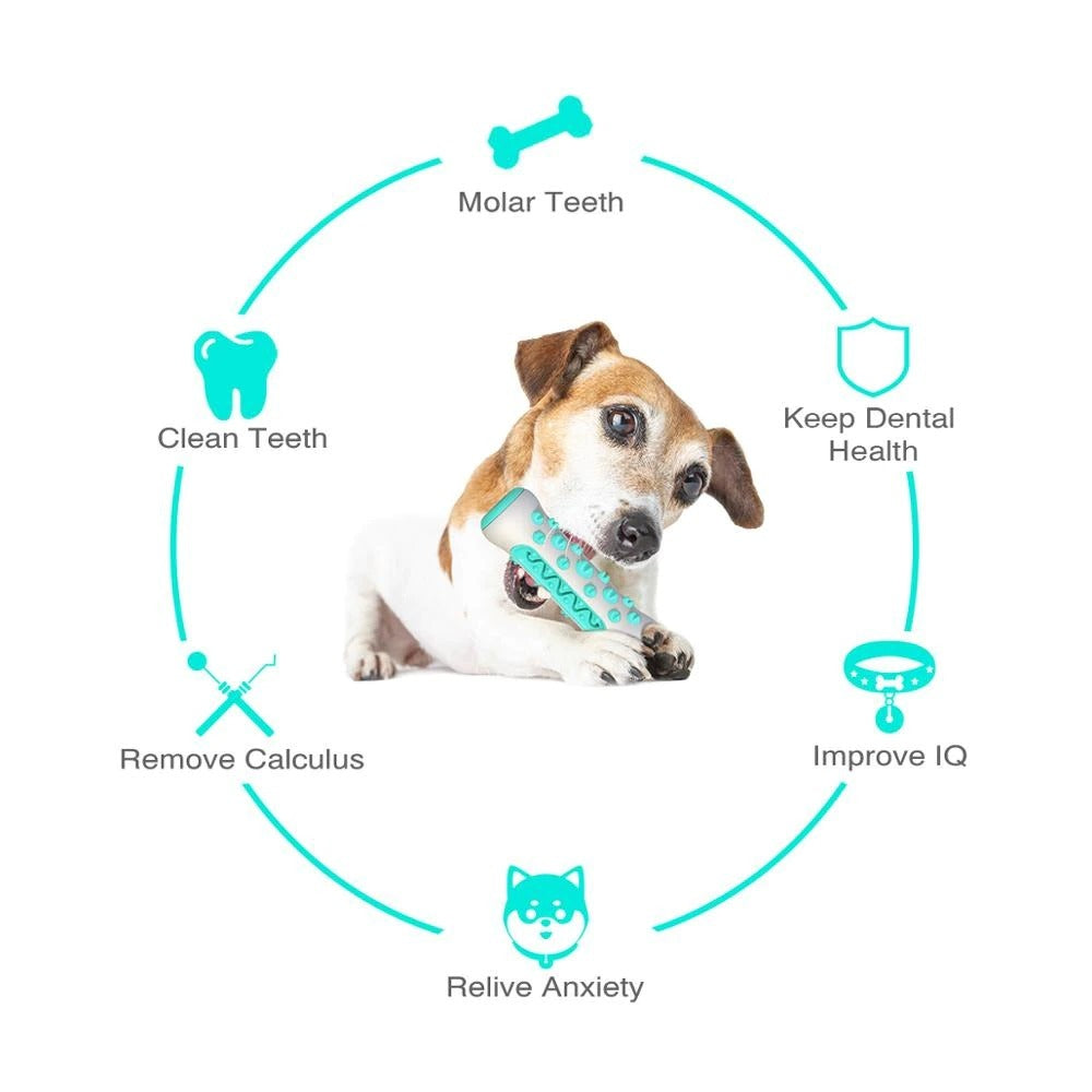 Durable Dog Chew Toy – Toothbrush Stick for Dental Care, Training & Play