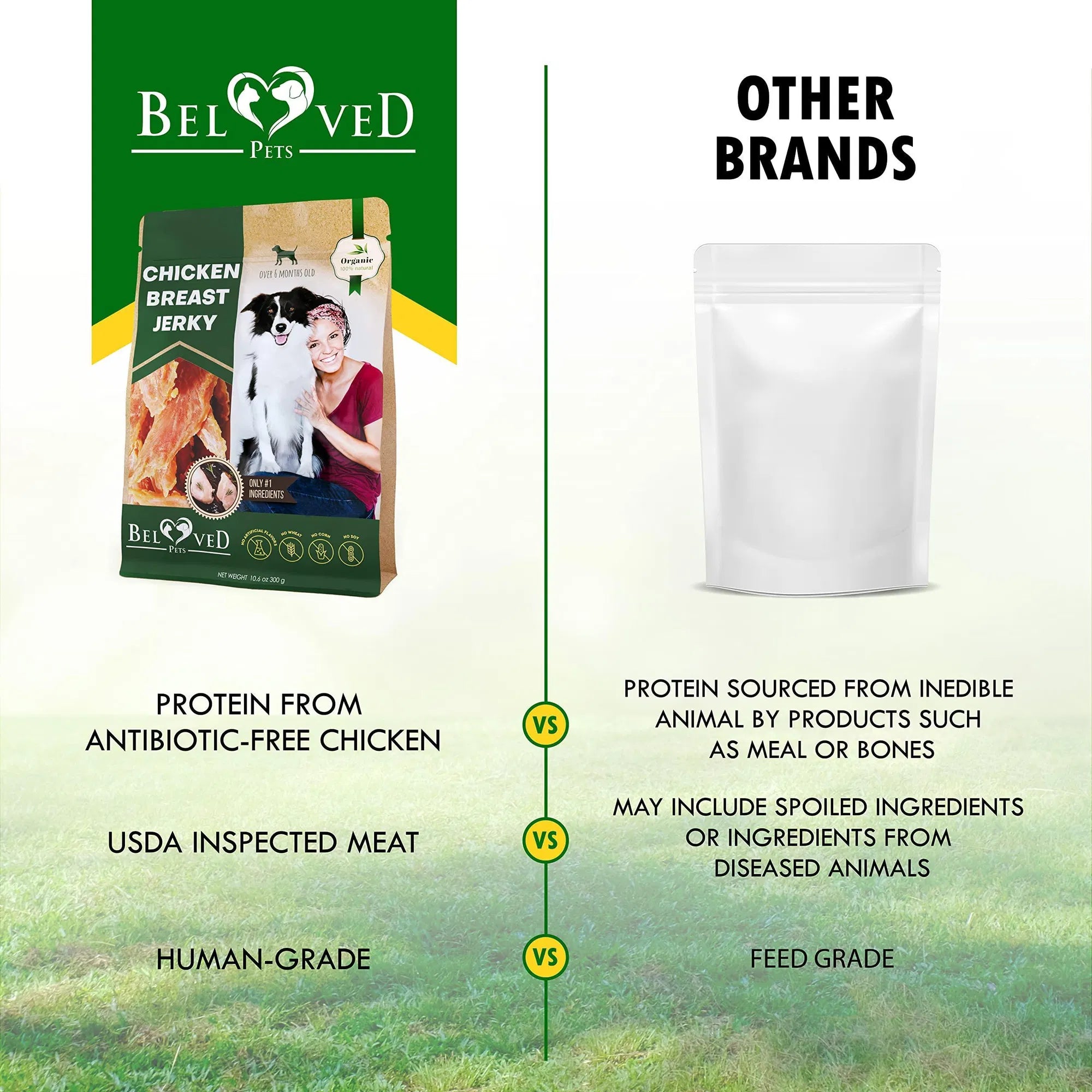 Dog enjoying Grain-Free All-Natural Chicken Jerky Dog Treats