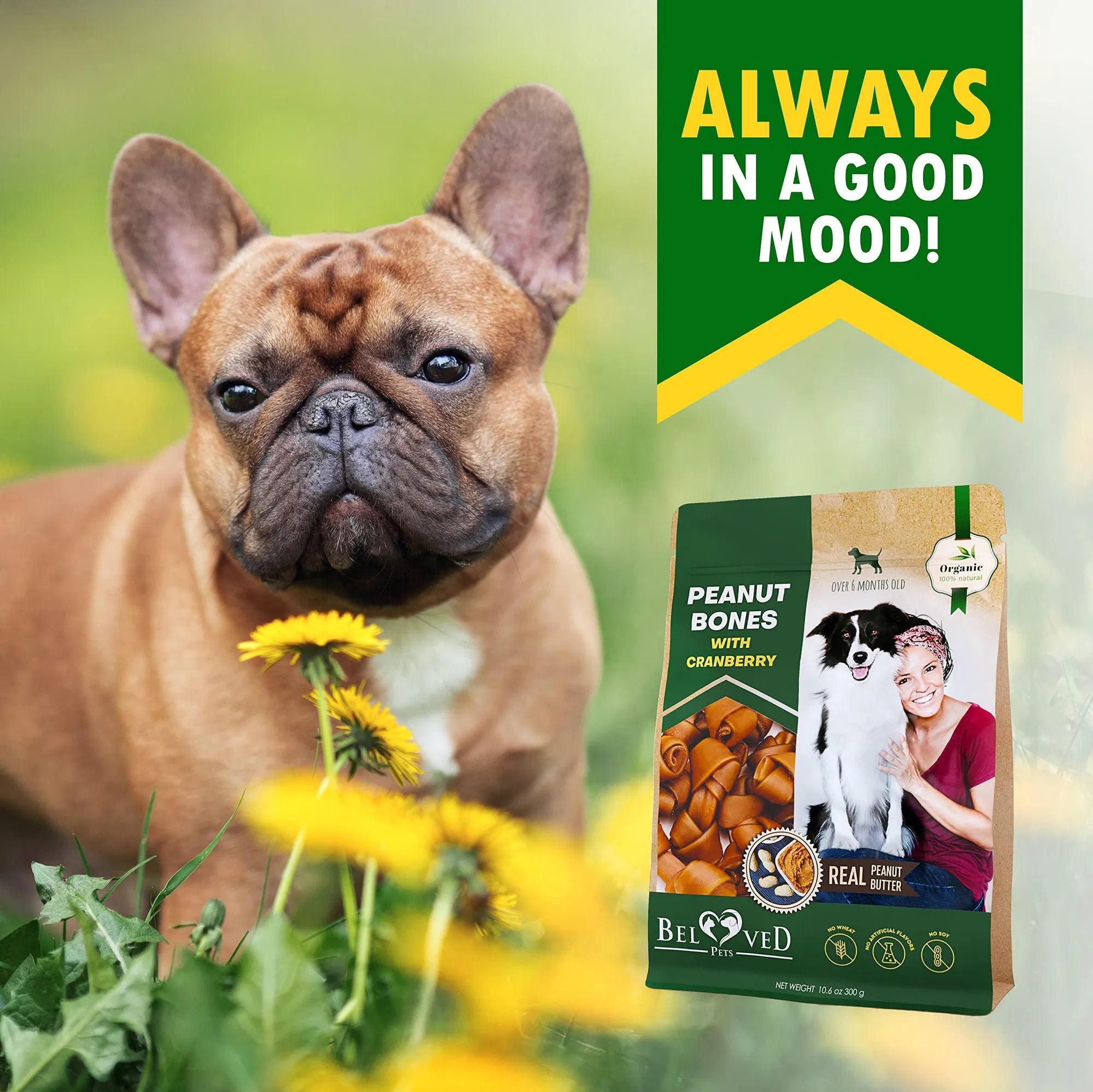 Rawhide-Free Peanut Butter & Cranberry Dog Bones – Healthy Chew Treats