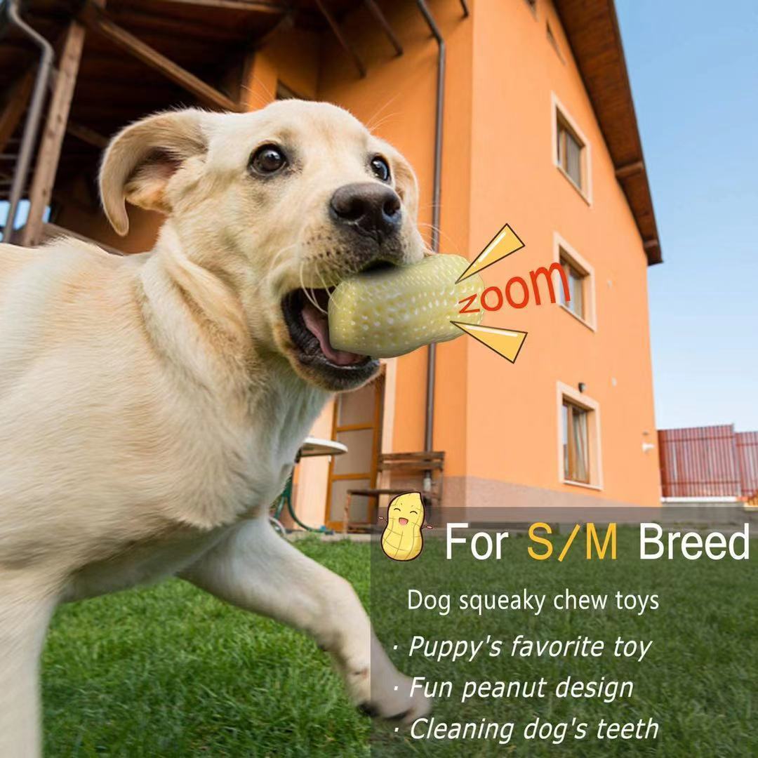 Durable chew toy for small, medium, and large dogs