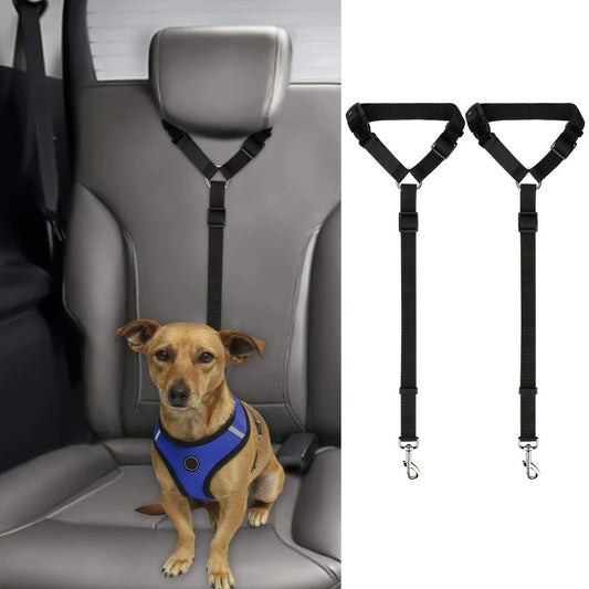 2-Piece Dog Leash Set – Durable & Comfortable for Daily Walks