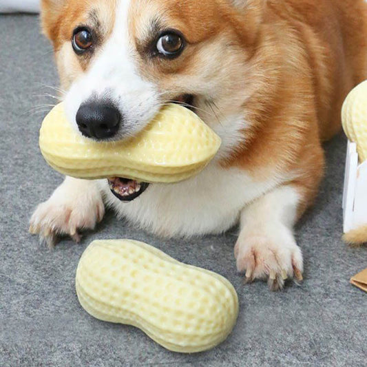 Funny Peanut Dog Squeaky Toy – Durable Rubber Chew & Dental Care for Dogs