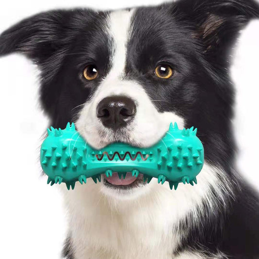 Durable Dog Chew Toy – Teeth Cleaning & Dental Care