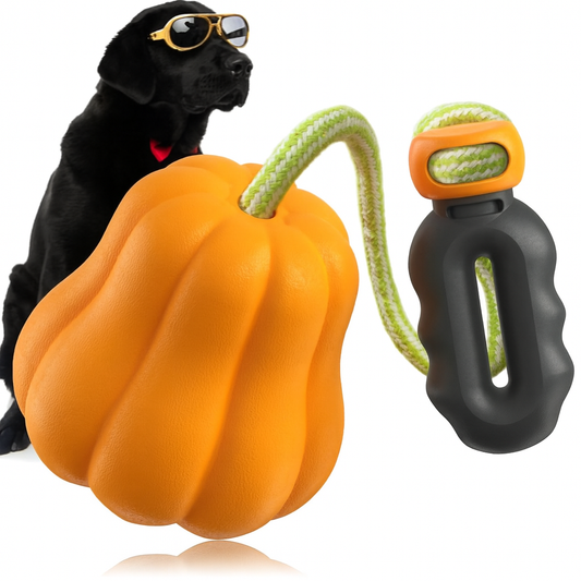 PROKEI Dog Rope Fetch Toy – Indestructible Tug & Chew Toy