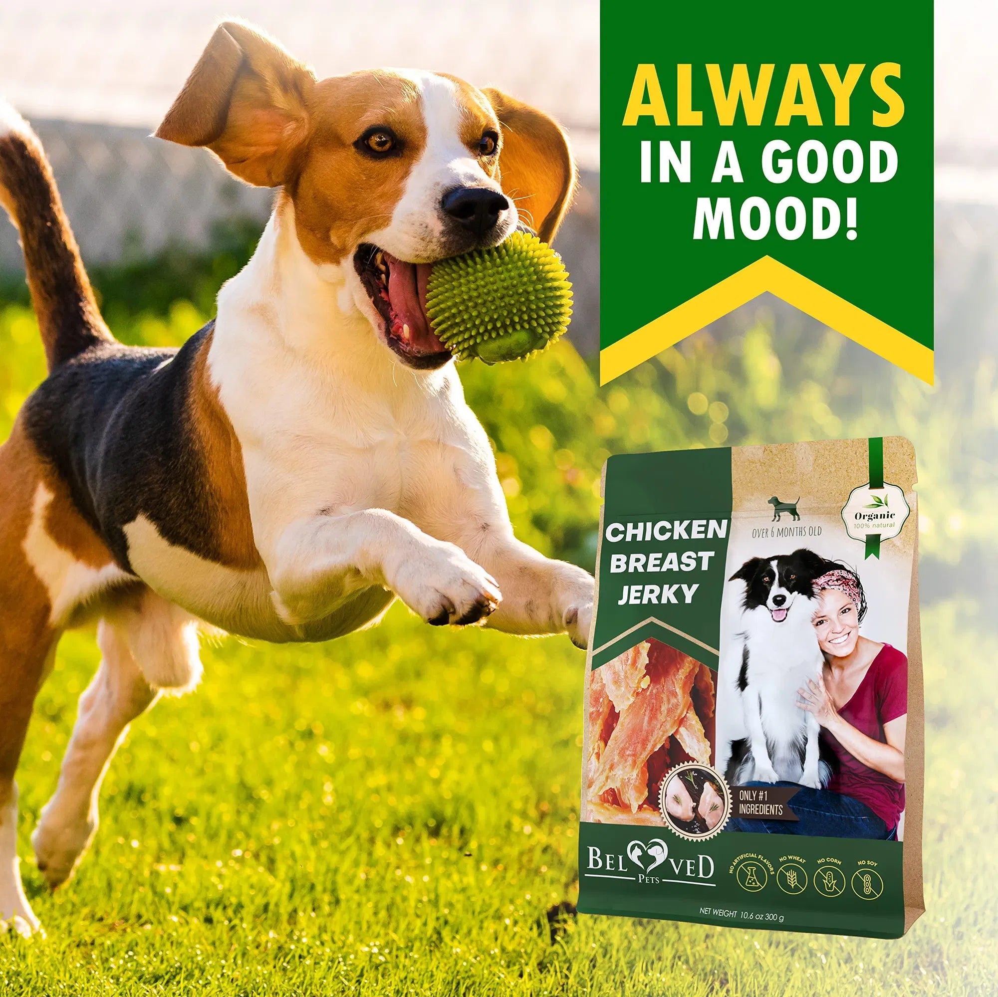 Grain-Free All-Natural Chicken Jerky Dog Treats – High-Protein Snack