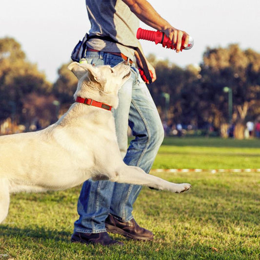 Interactive Dog Chew Toy for Medium & Large Dogs – Durable Training & Play Ball
