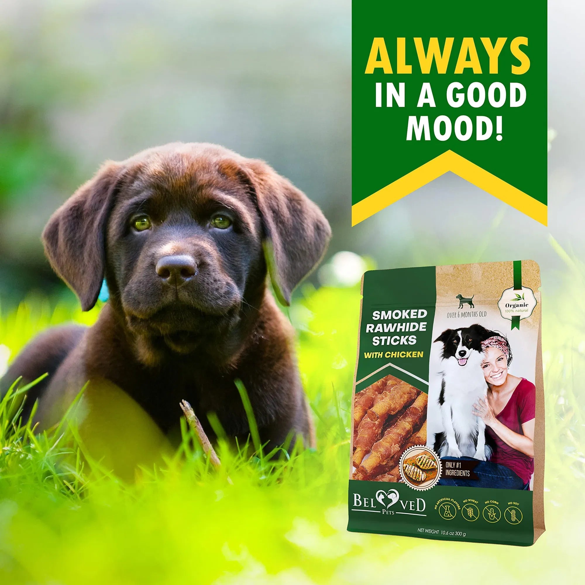 Grain-Free Smoked Chicken-Wrapped Rawhide Dog Sticks